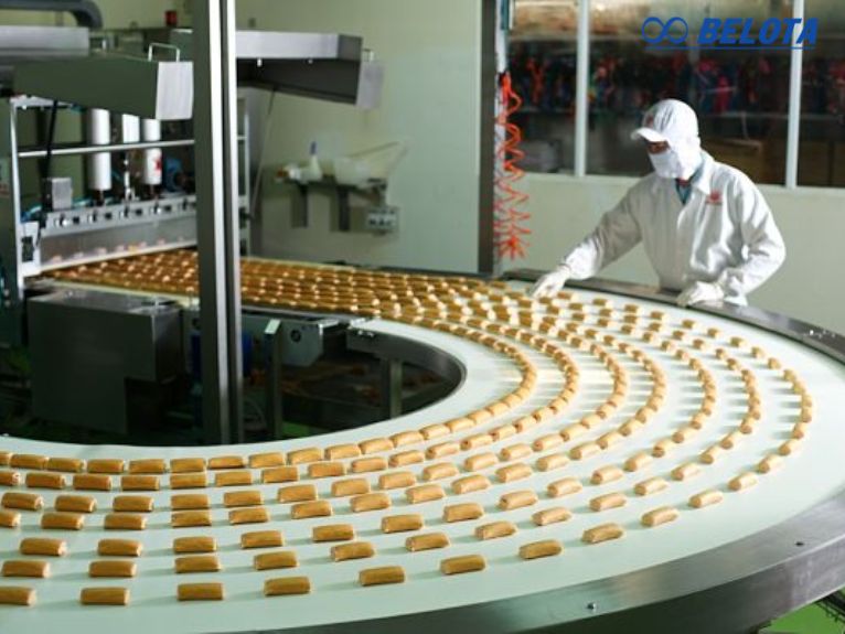 Công ty TNHH Belota chuyên cung cấp các loại băng chuyền cho ngành chế biến thực phẩ