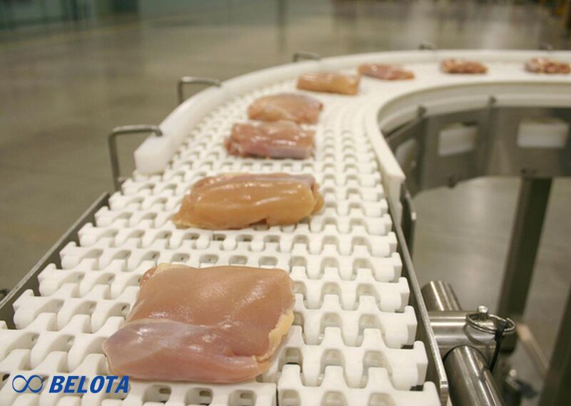 Criteria for Choosing Safe and Hygienic Food Conveyor Belts