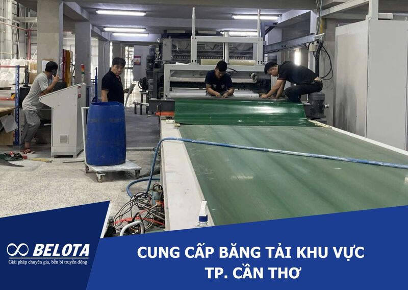 Cung cấp băng tải khu vực TP. Cần Thơ