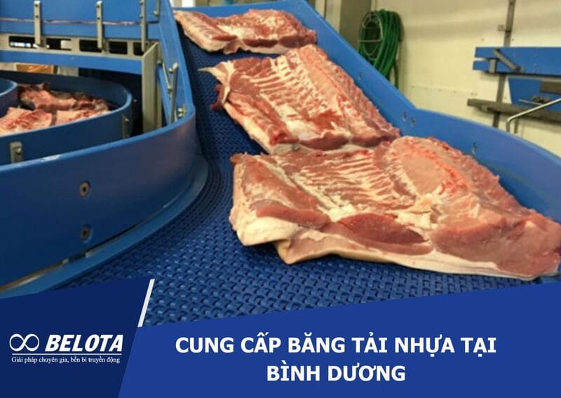 Cung cấp băng tải nhựa tại Bình Dương - Gia công theo yêu cầu