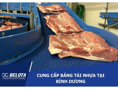 Cung cấp băng tải nhựa tại Bình Dương - Gia công theo yêu cầu