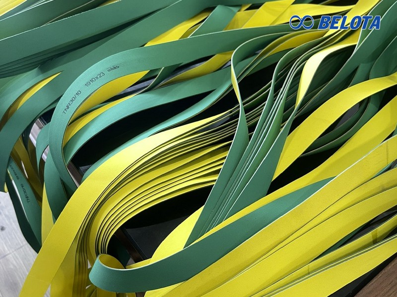 Đặc điểm nổi bật