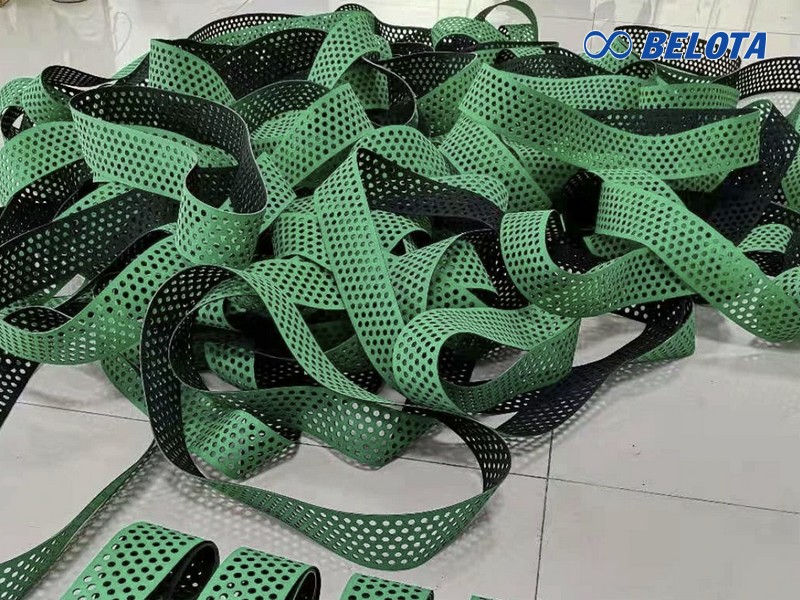 Đặc Điểm Nổi Bật