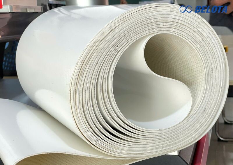  Đầu tư vào giải pháp băng tải chế biến thịt phù hợp giúp giảm yêu cầu bảo trì