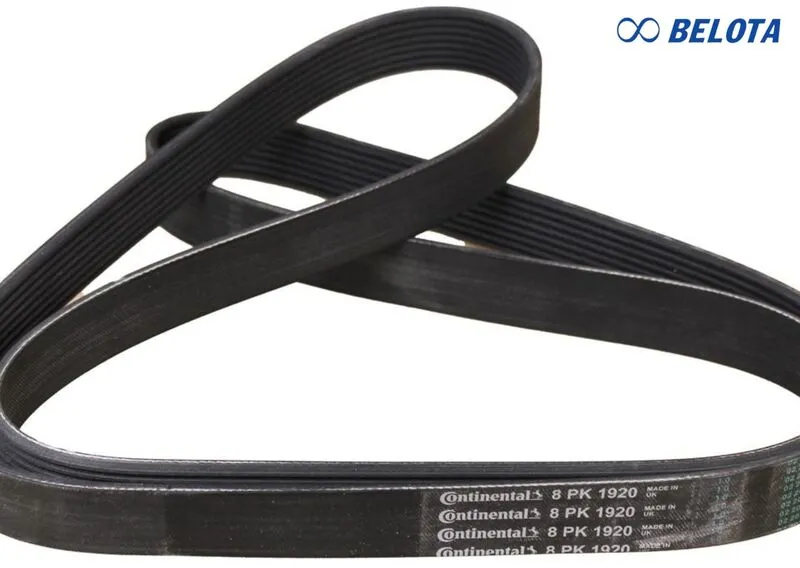 Dây curoa 8PK là loại dây curoa rãnh dọc (Poly-V belt) có 8 gân, thuộc dòng dây PK với bước răng tiêu chuẩn 3.56mm
