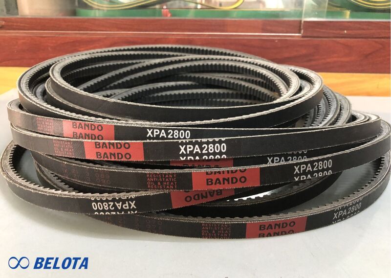 Dây curoa bản XPA