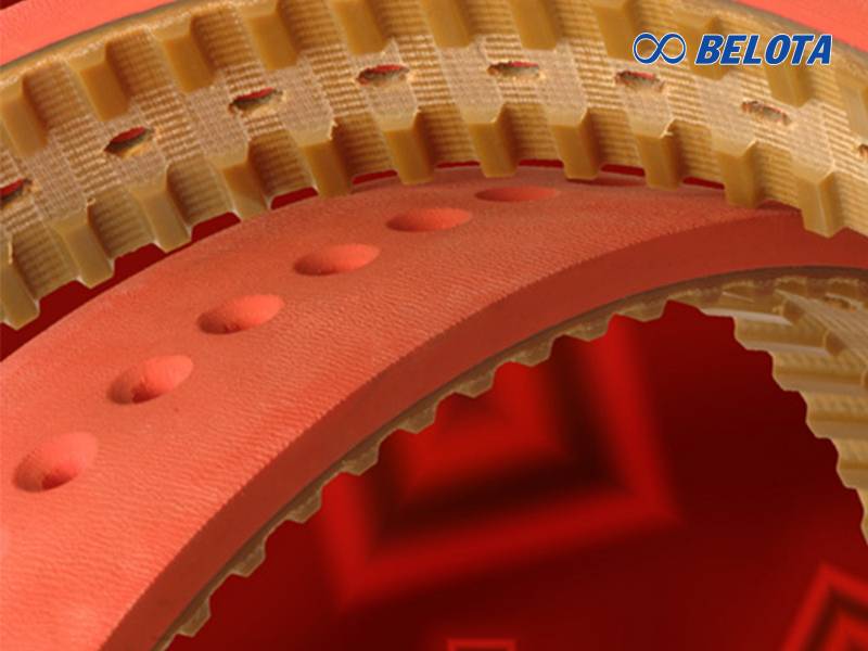 Dây curoa đục lỗ