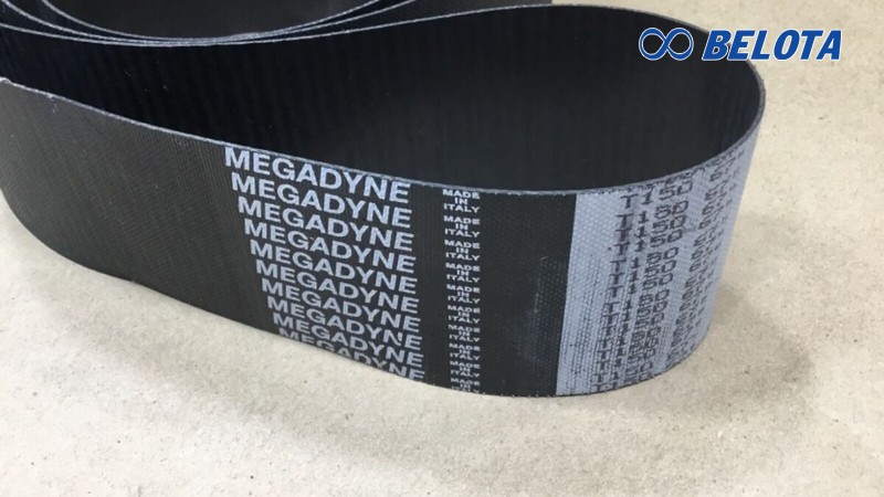 dây curoa giá sỉ