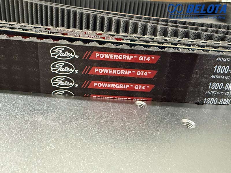 Dây curoa răng trong tiếng Trung