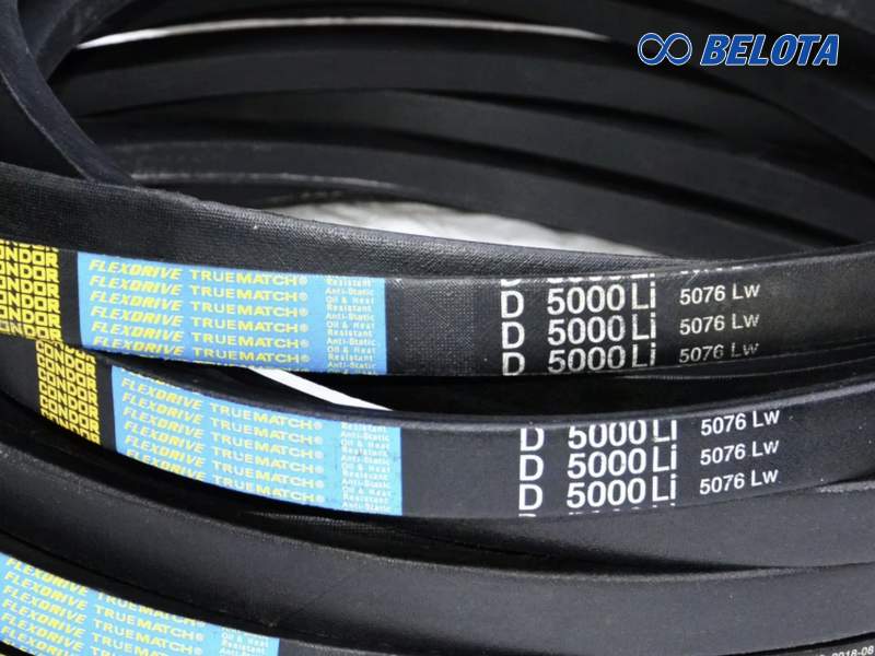 Dây curoa thang bản D