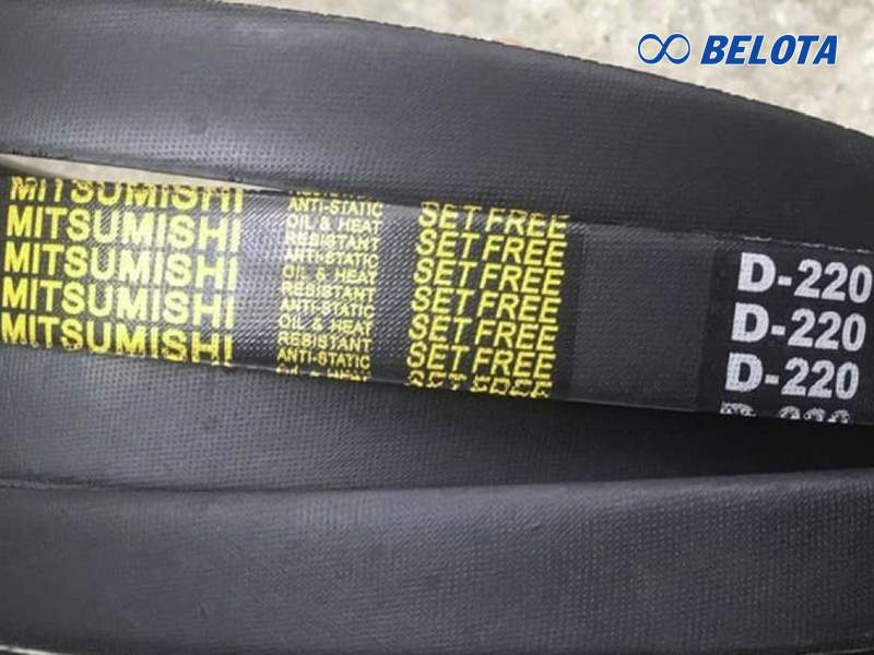 Dây curoa thang bản D