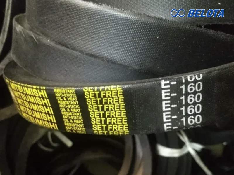 Dây curoa thang bản E tại Belota