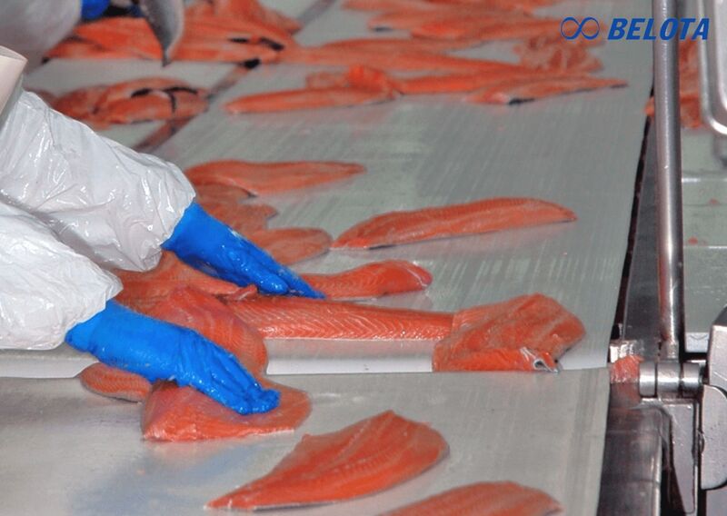 Dây đai băng tải PU thường dùng trong những ngành công nghiệp nào