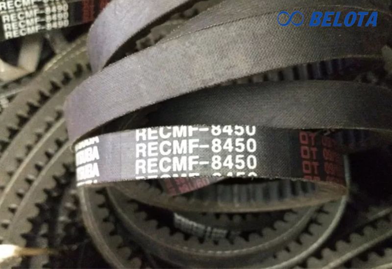 Đọc thông số dây curoa răng cưa (RECMF)