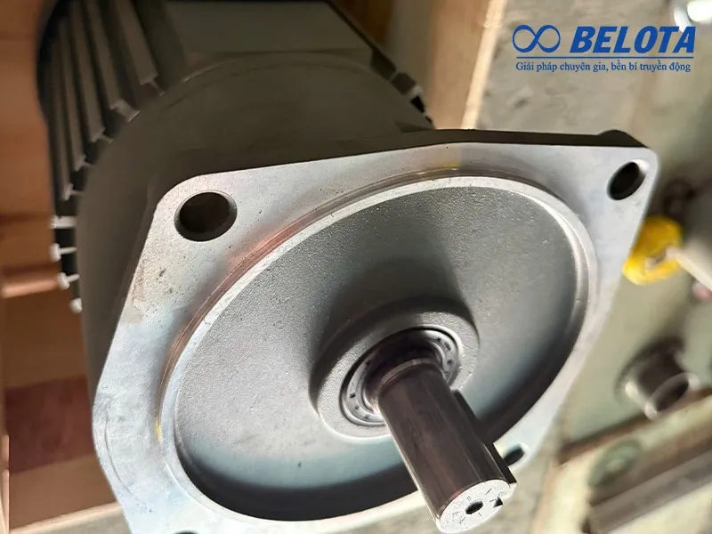 Chọn động cơ băng tải phù hợp với tải trọng