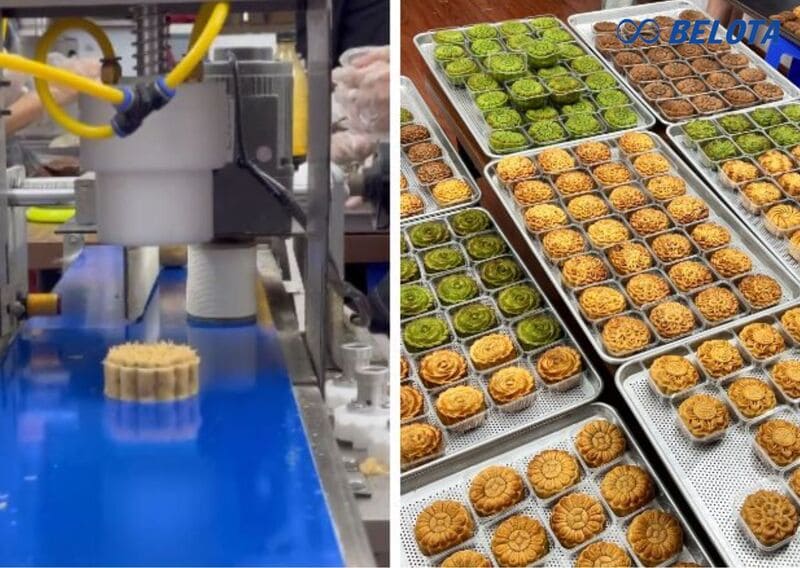 Đóng dấu và hoàn thiện bề mặt bánh