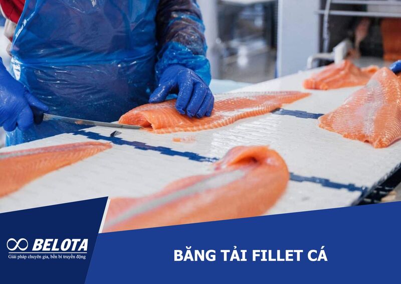 Fish Fillet Conveyor