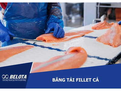 Fish Fillet Conveyor