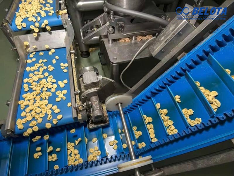 Gờ T băng tải giúp chặn và giữ chuối ổn định khi vận chuyển trên băng chuyền dốc