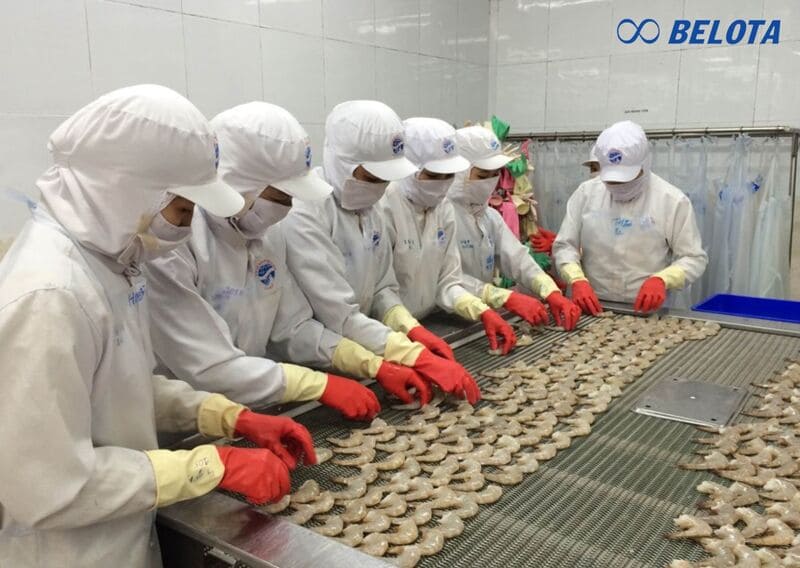 Hệ thống băng chuyền sơ chế tôm giúp xử lý hàng nghìn sản phẩm mỗi giờ