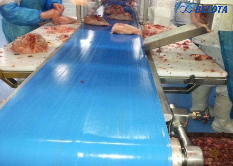 Hệ thống băng tải đáp ứng vệ sinh ATTP