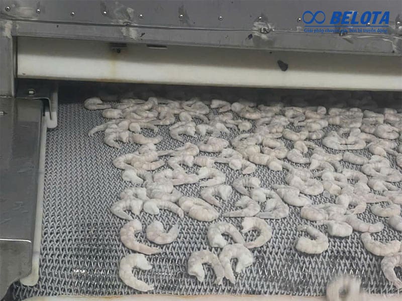 Hệ thống băng tải Inox chế biến thủy sản hiệu quả