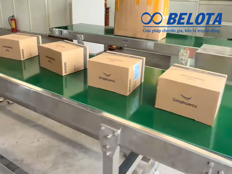 Hệ thống băng tải thùng carton dùng băng tải PVC
