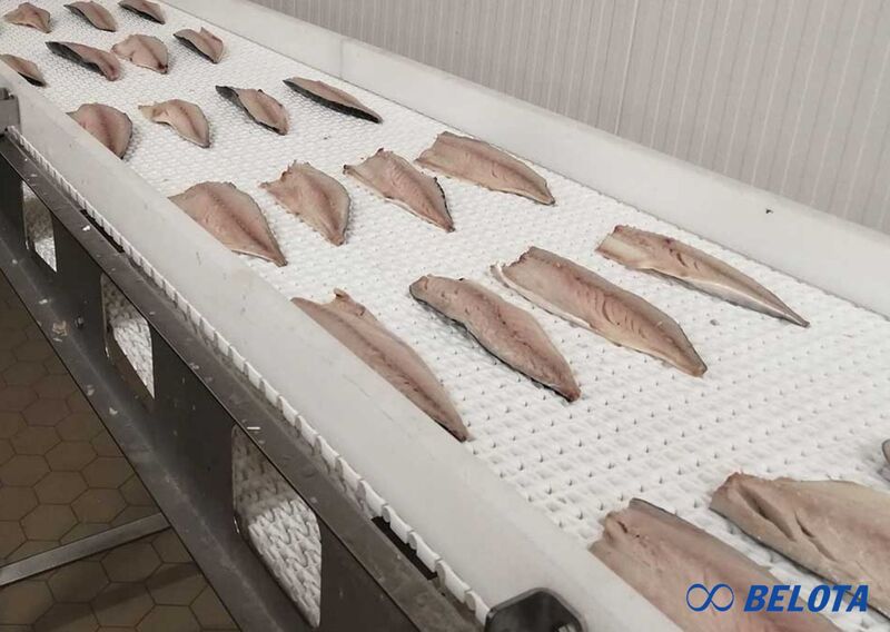 Hệ thống IQF sử dụng băng tải nhựa để vận chuyển sản phẩm vào buồng đông