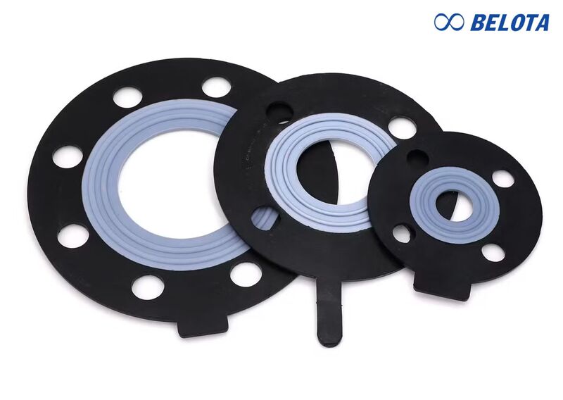 Heat Resistant PTFE Gasket