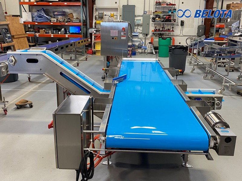 Homogeneous TPU Belt