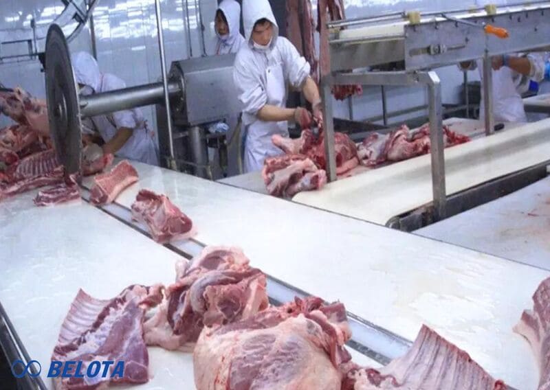 Khả năng chịu tải là tiêu chí quan trọng khi lựa chọn băng tải cho dây chuyền thực phẩm