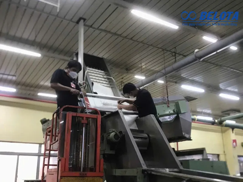 Kỹ thuật viên viên Belota thực hiện cách đo kích thước dây băng tải trực tiếp tại nhà máy