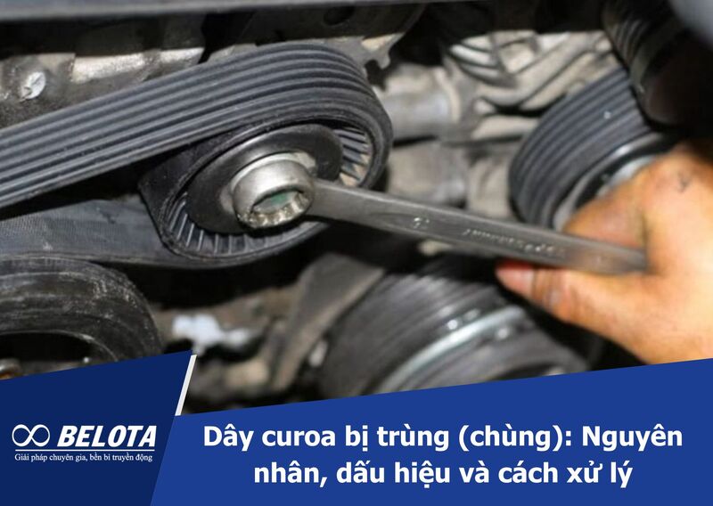 Loose Drive Belt: Causes, Signs & Solutions