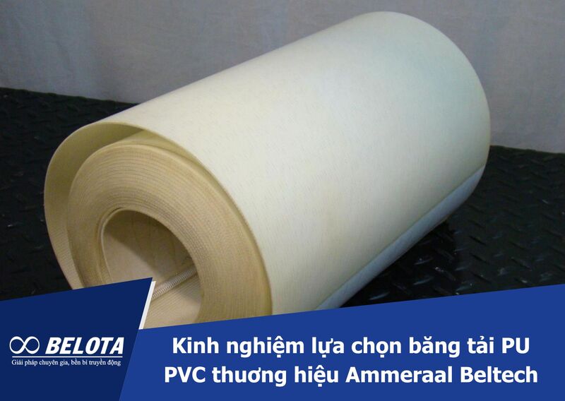 Kinh nghiệm lựa chọn băng tải PU PVC thương hiệu Ammeraal Beltech