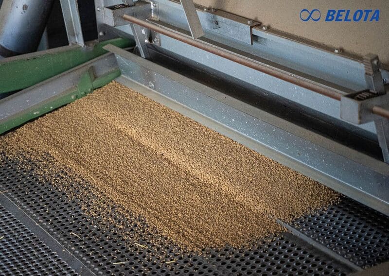 Một số dòng băng tải rung được thiết kế kết hợp khả năng phân loại và sàng tách vật liệu
