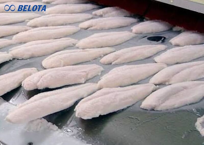 Nguyên lý hoạt động của băng chuyền IQF tấm phẳng