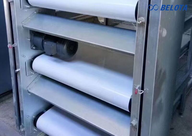 Nguyên lý hoạt động của băng tải dọn phân gà