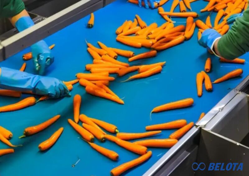 Những lưu ý quan trọng khi lắp đặt băng tải PU