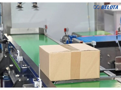 Packaging Conveyor: Types, Comparison & Selection Guide
