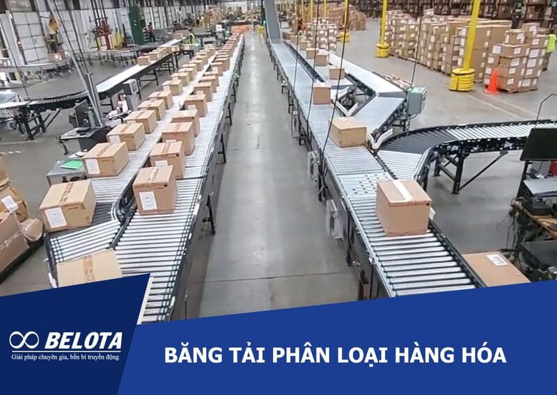 Parcel Sorting Conveyor Systems