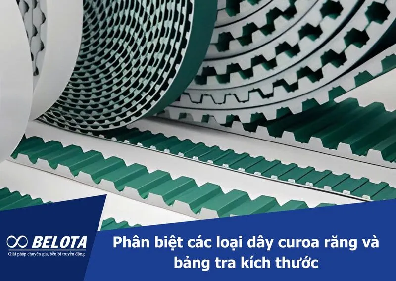 Phân biệt các loại dây curoa răng và bảng tra kích thước