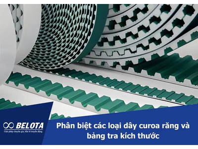 Phân biệt các loại dây curoa răng và bảng tra kích thước
