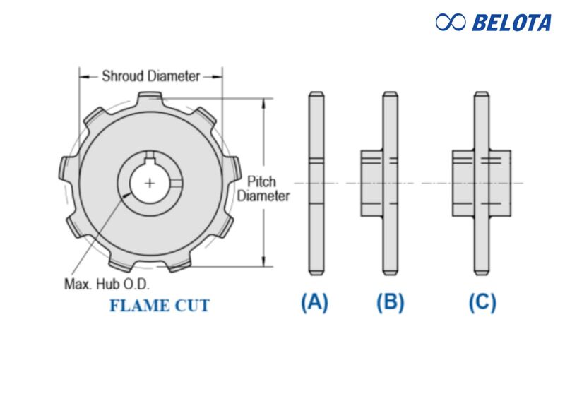 Phân loại theo cấu trúc, nhông được chia thành các nhóm A, B và C