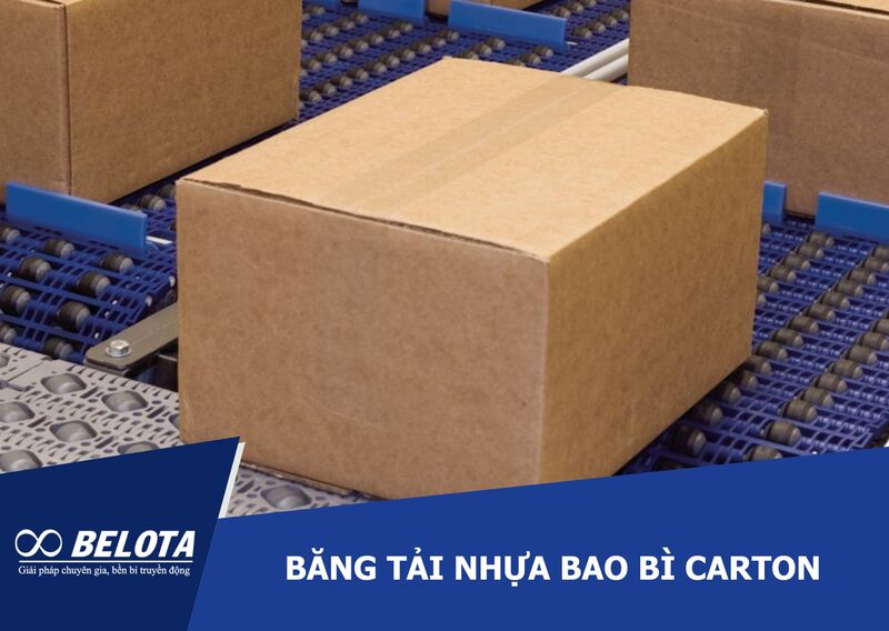 Plastic Conveyor Belt for Carton Packaging