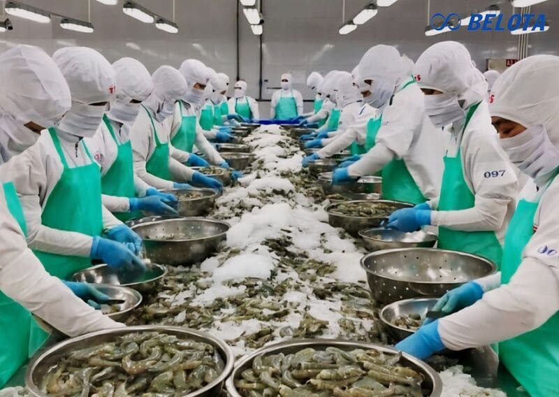 Quy trình hoạt động của băng chuyền sơ chế tôm