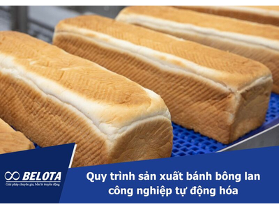 Quy trình sản xuất bánh bông lan công nghiệp tự động hóa