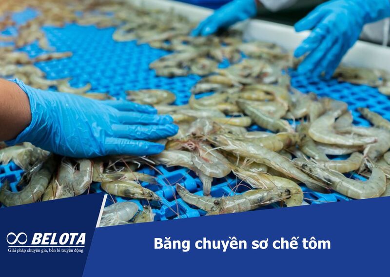 Shrimp processing conveyors