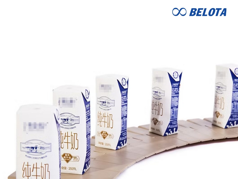 Side-Flexing Plastic Chain Conveyor Belt