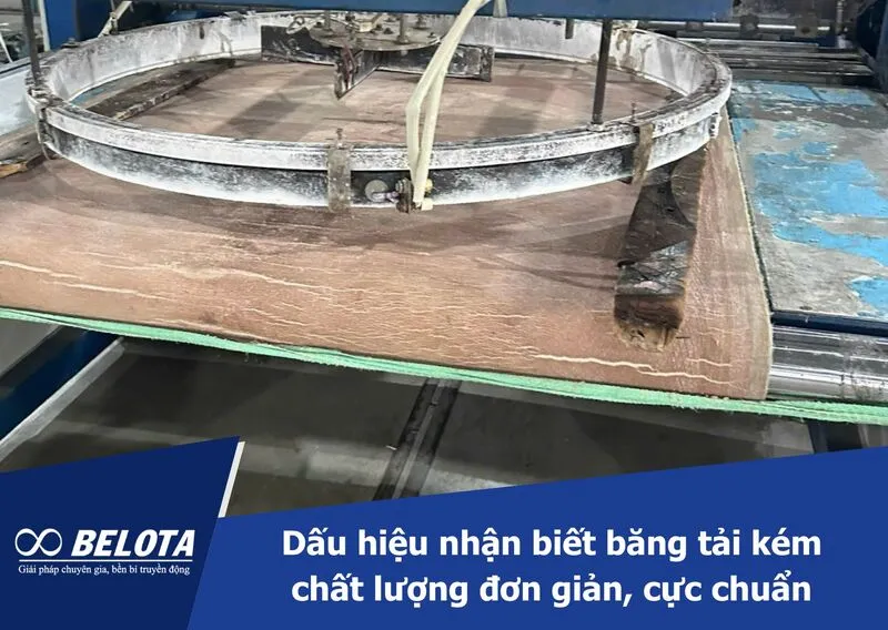 Simple Signs of Low-Quality Conveyor Belt You Shouldn’t Ignore