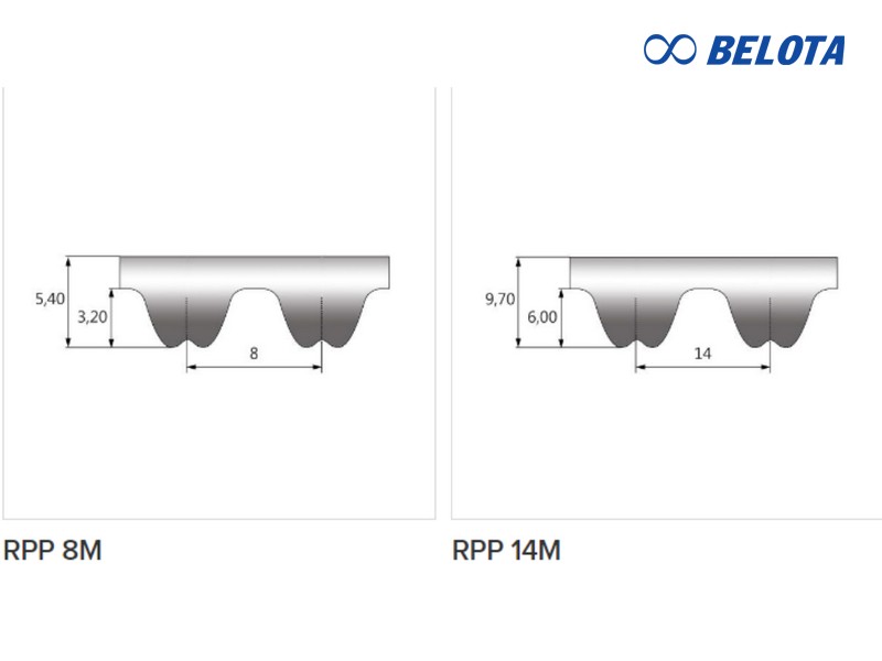 so-sanh-day-curoa-cao-su-rpp-8m-va-14m